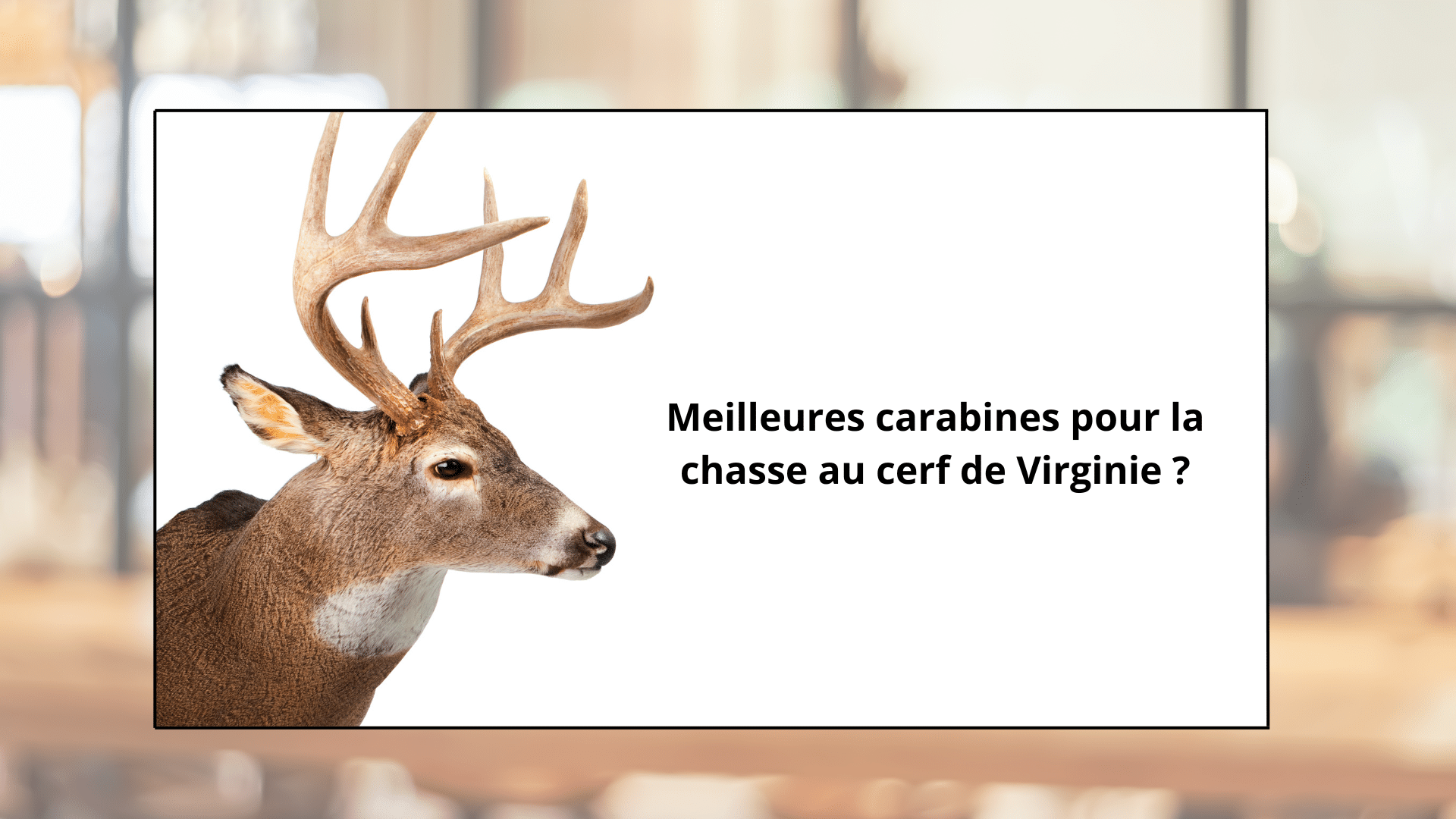 meilleures carabines pour la chasse au cerf de virginie