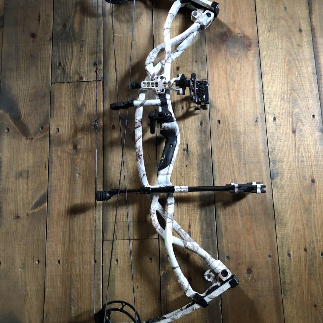 Hoyt carbone matrix