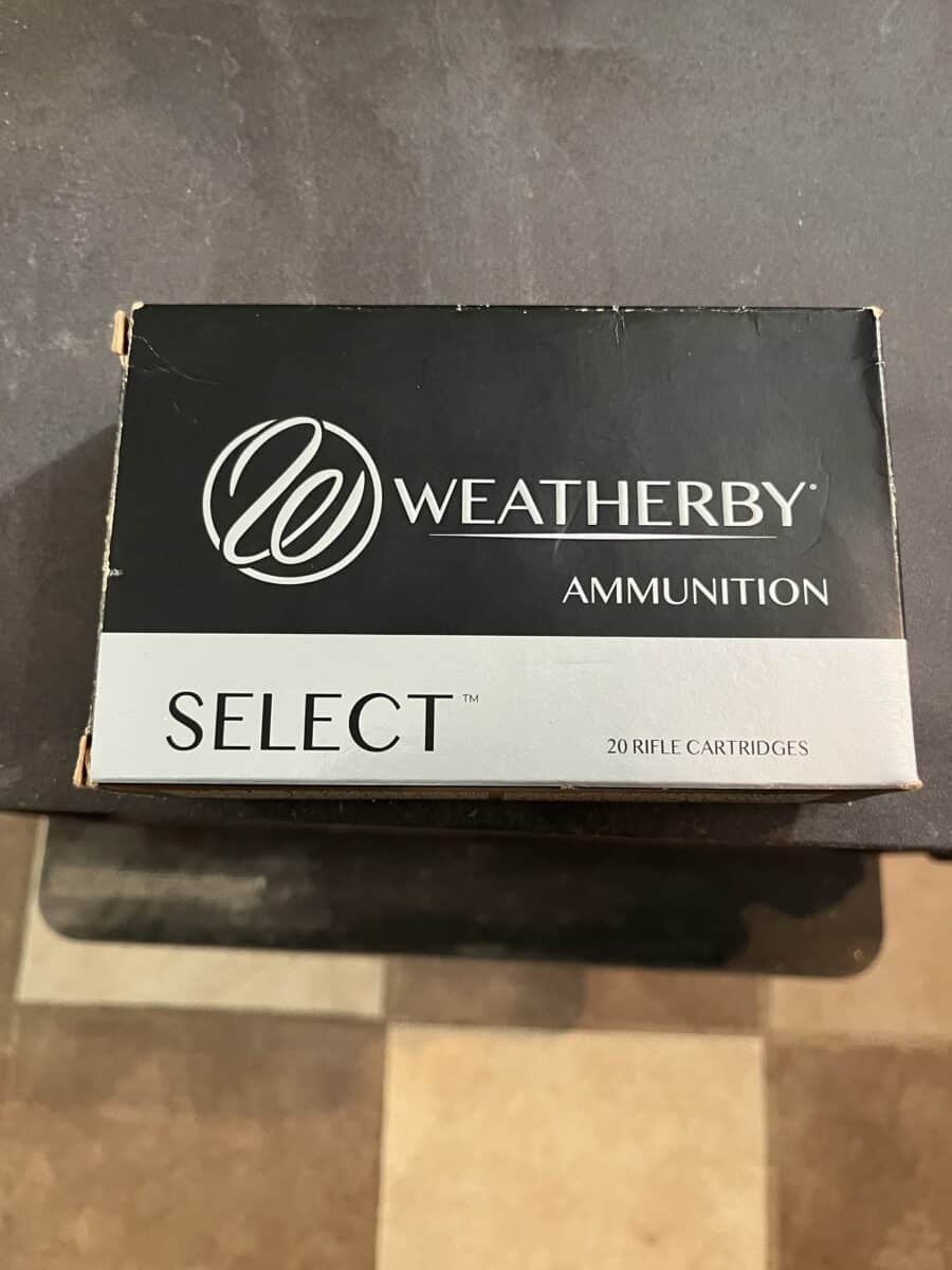 Balles 300 magnum Weatherby