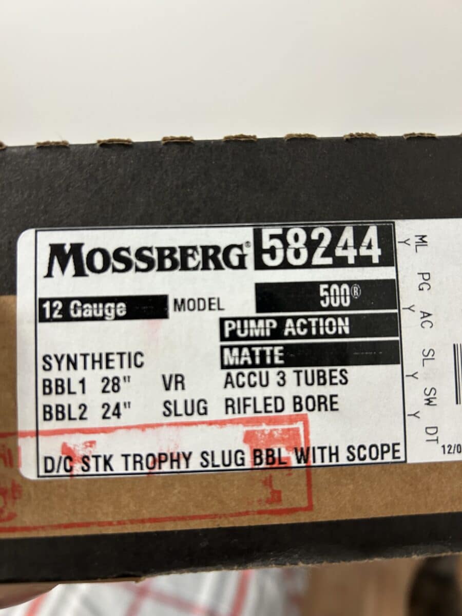 12 a pompe Mooseberg