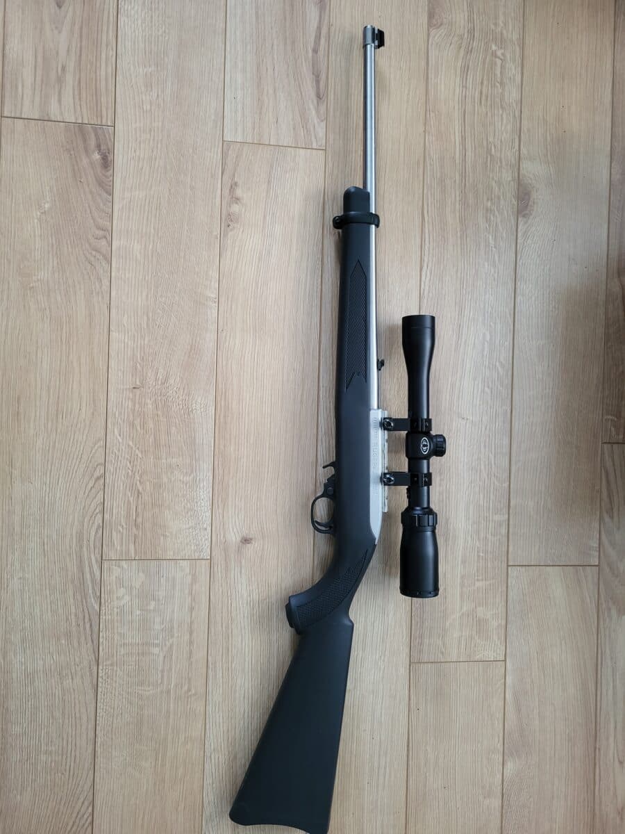 Ruger 10/22