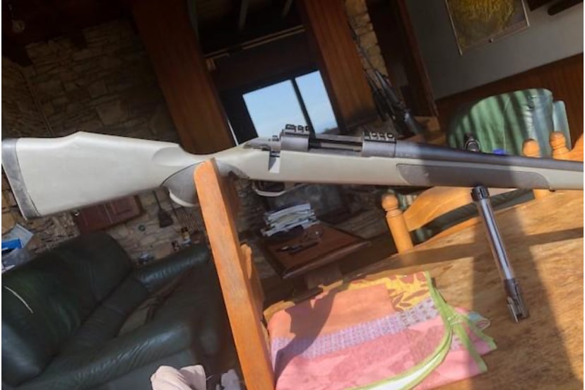 Carabine Weatherby Vanguard S2