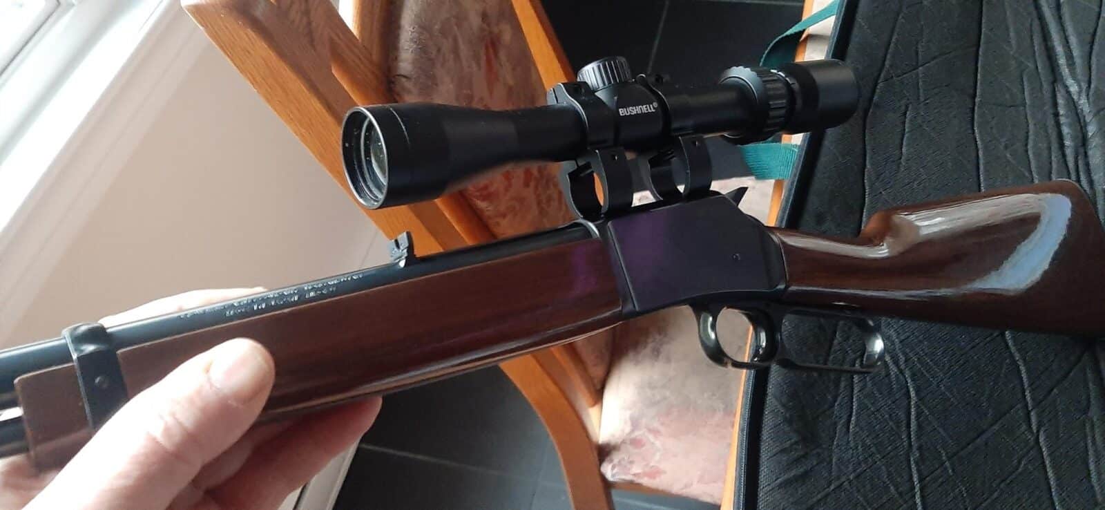 Carabine Browning BLR .22 à vendre