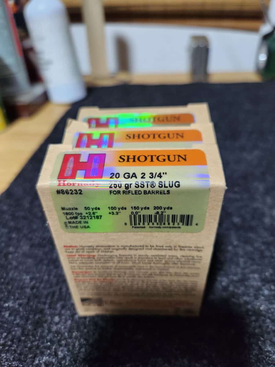 Hornady sabot slug sst cal 20