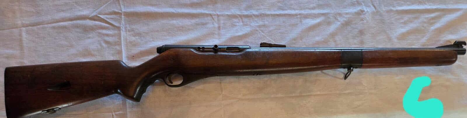 Mossberg 151 M 22 Lr semi