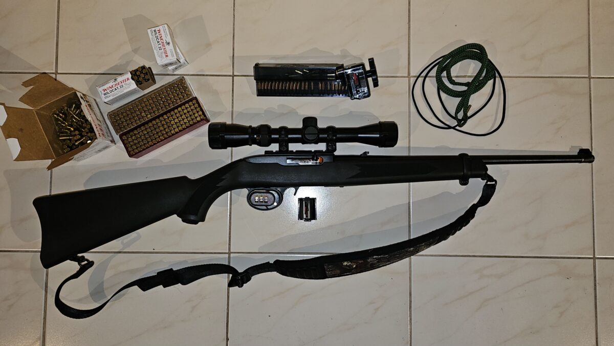 Carabine Ruger, 10/22, 22 LR, semi-auto